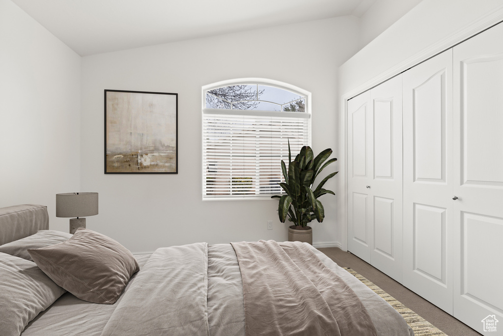 Carpeted bedroom featuring a closet and lofted ceiling