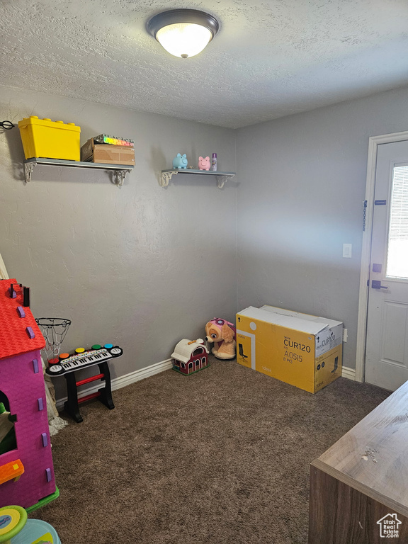 Playroom with a textured ceiling, baseboards, and carpet floors