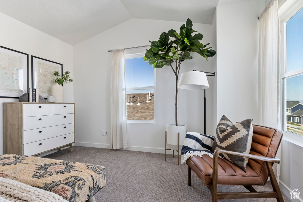 Living area with carpet flooring and lofted ceiling