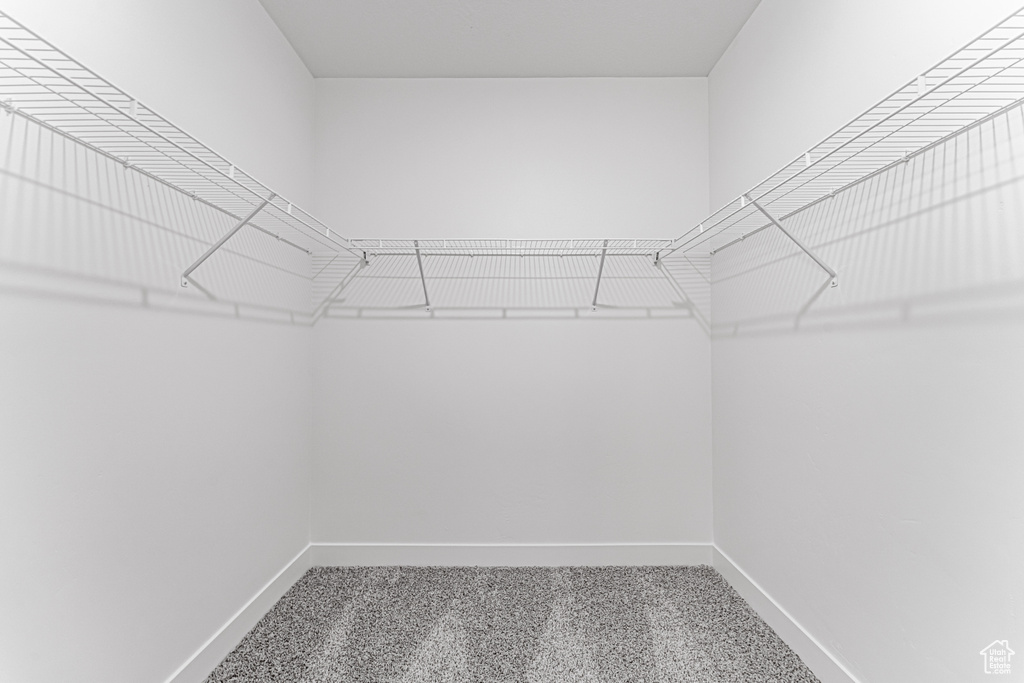 Walk in closet featuring carpet floors