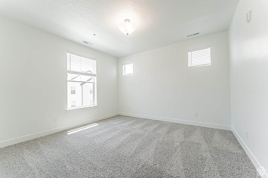 Unfurnished room with plenty of natural light, light colored carpet, and a textured ceiling