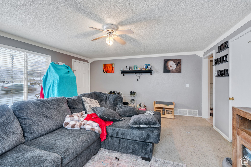 Living room featuring ceiling fan, carpet, and a textured ceiling