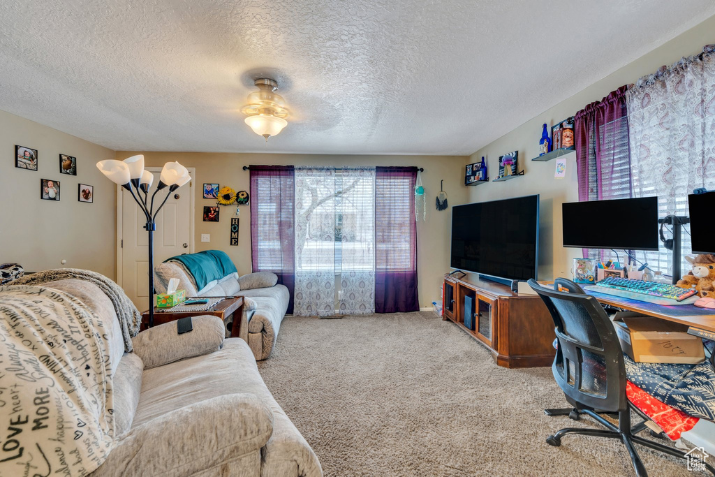 Carpeted living room featuring a textured ceiling