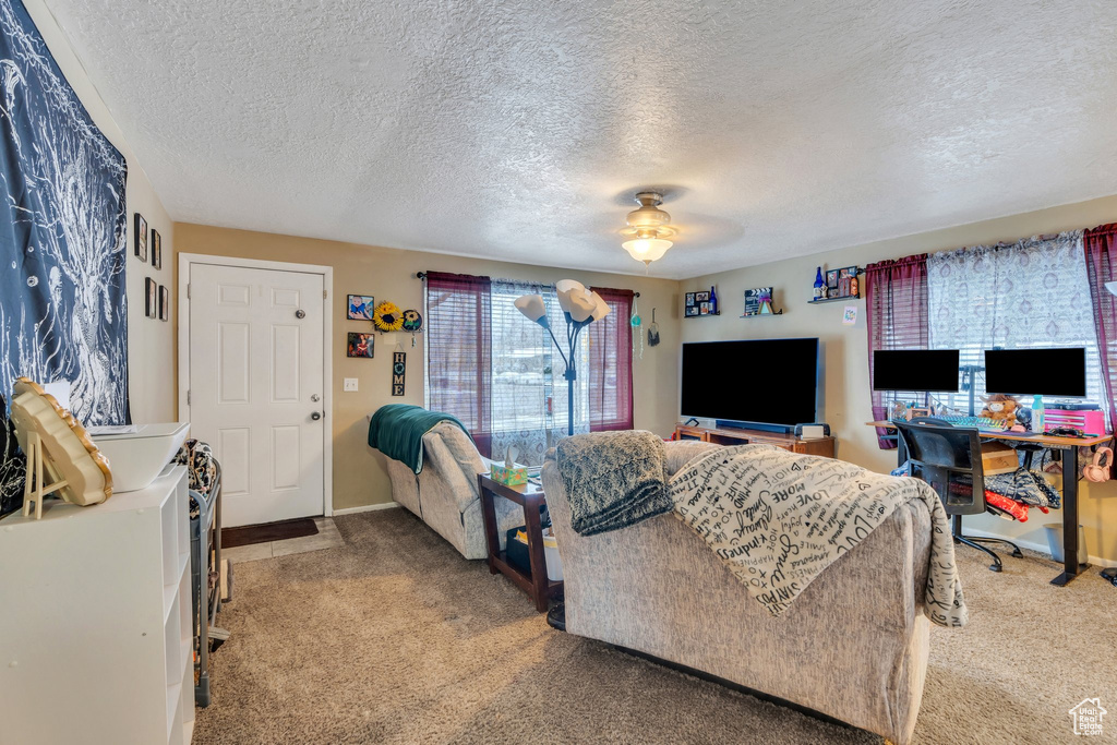 Living room featuring a textured ceiling and carpet