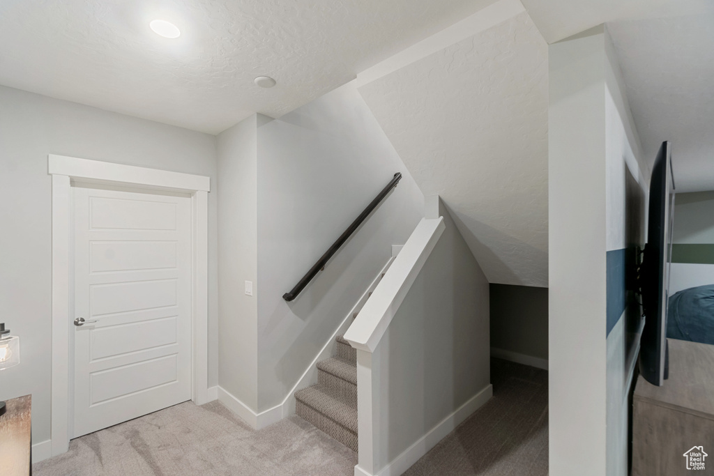 Stairway featuring carpet floors