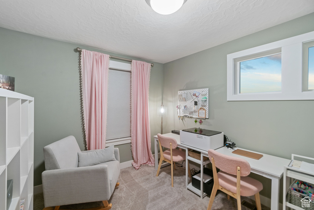 Office space featuring a textured ceiling and light colored carpet