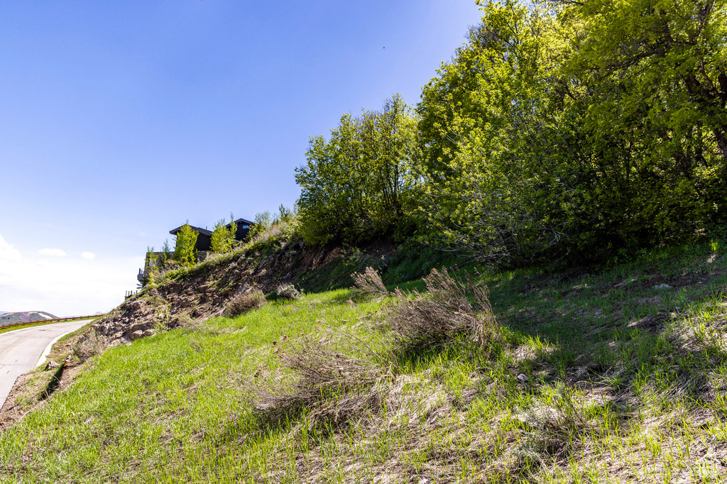 View of nature