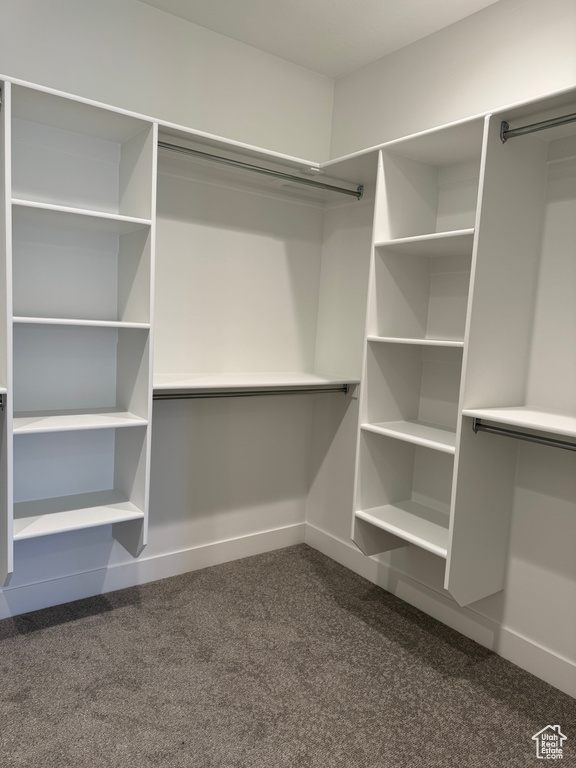 Spacious closet with dark carpet
