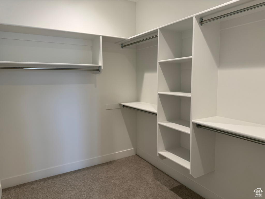 Spacious closet featuring carpet