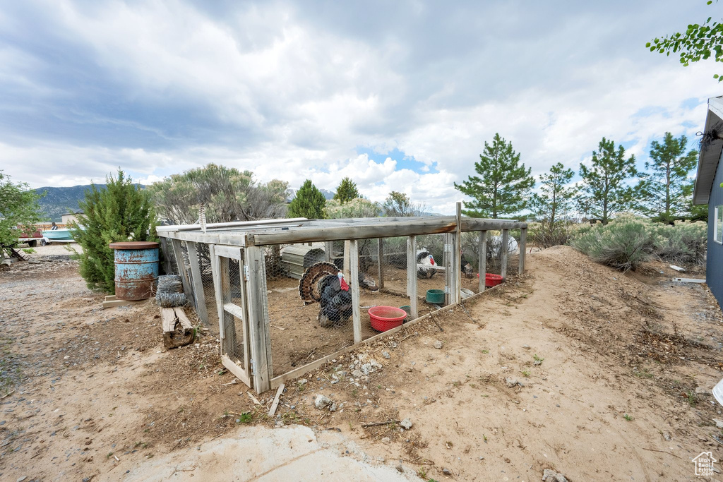 View of poultry coop