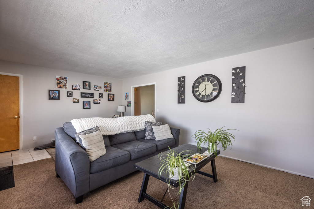 Carpeted living room with a textured ceiling