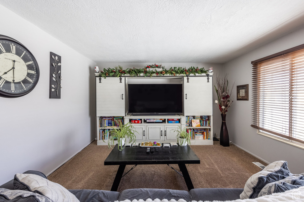 Carpeted living room with a textured ceiling and baseboards