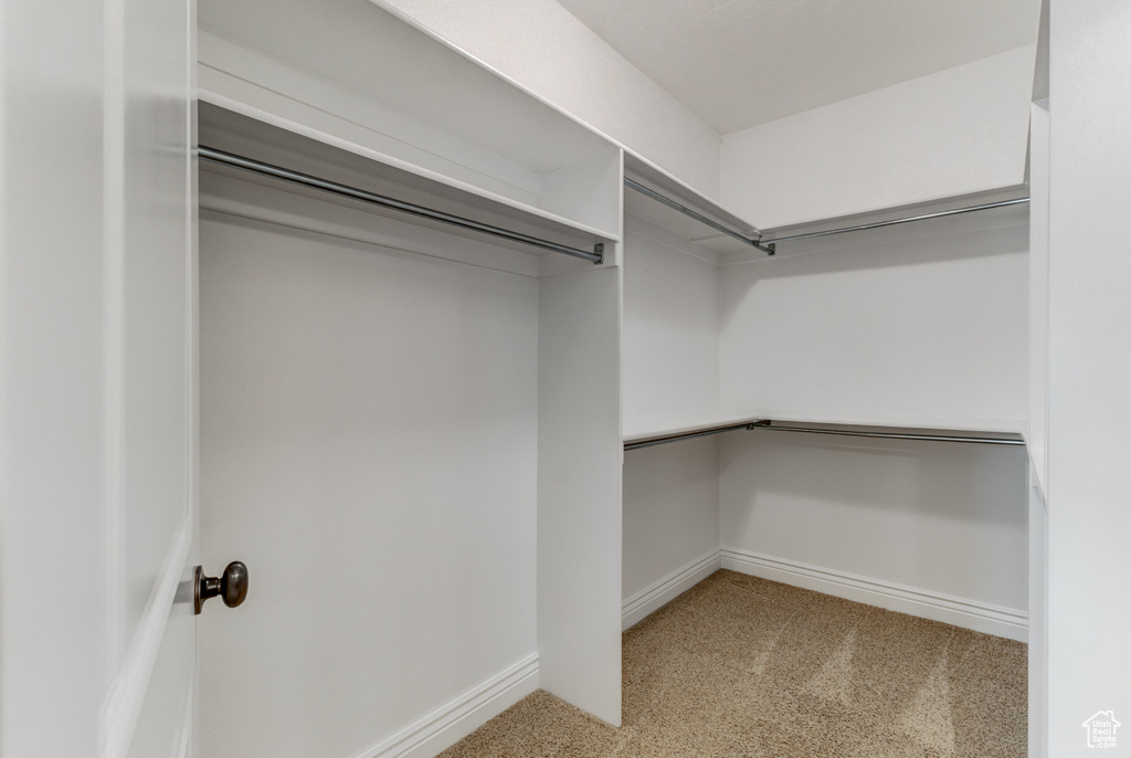 Spacious closet featuring light colored carpet