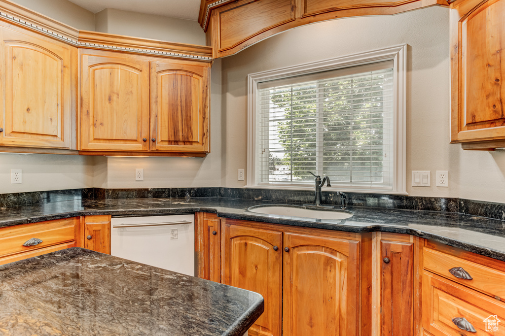 Kitchen with dishwasher and dark stone counters