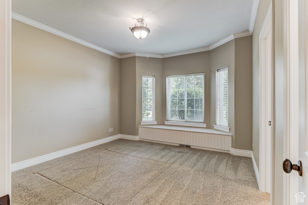 Empty room with ornamental molding and carpet floors