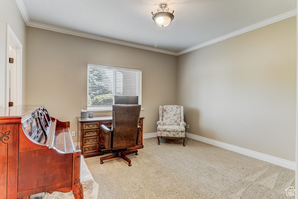 Carpeted office with ornamental molding