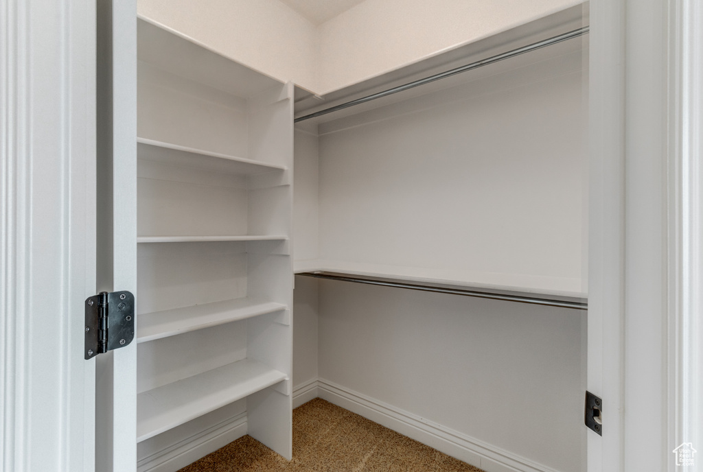 Walk in closet featuring carpet floors