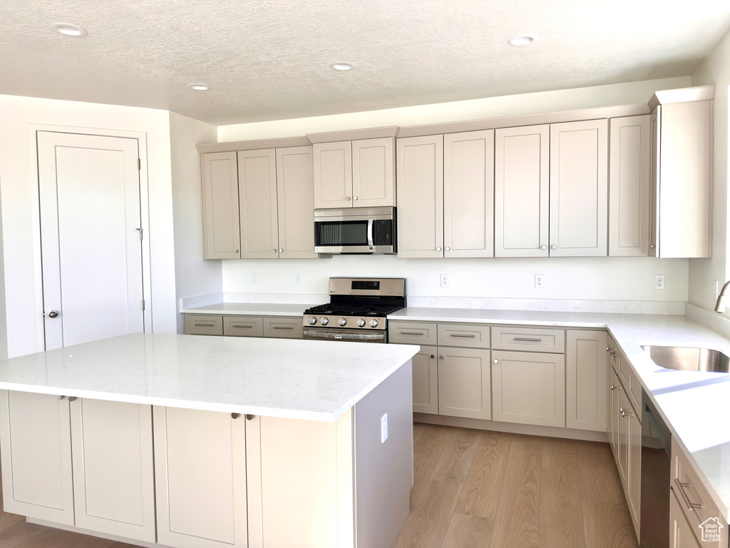 Kitchen featuring a kitchen island, light wood-style flooring, gray cabinets, stainless steel appliances, and a sink