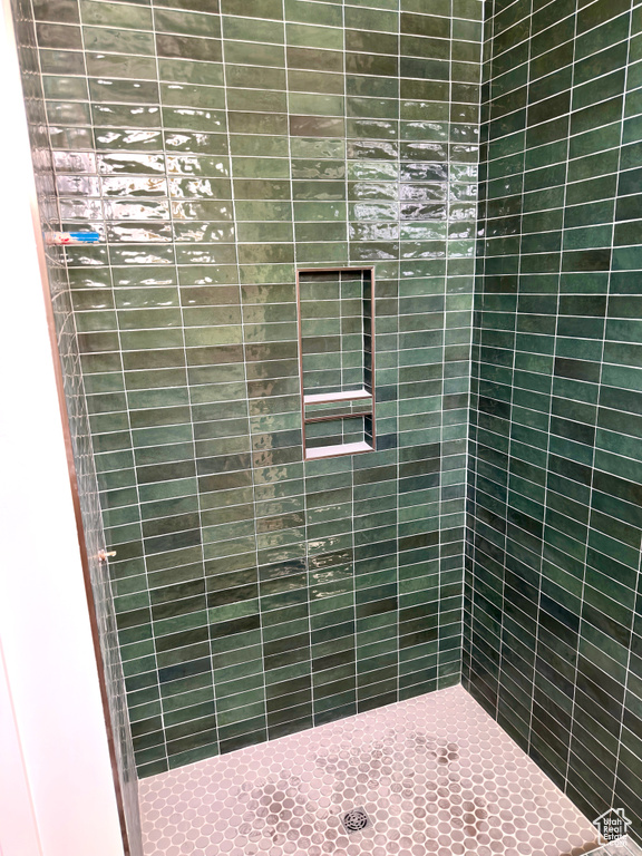 Full bathroom with tiled shower