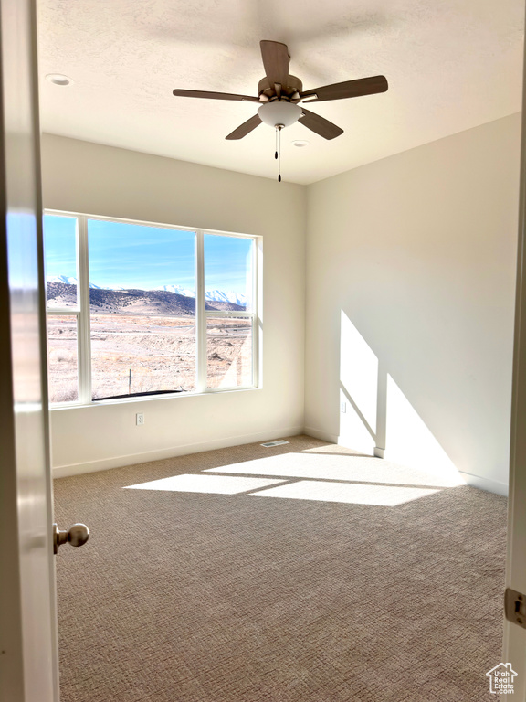 Empty room featuring a ceiling fan, carpet, and a textured ceiling