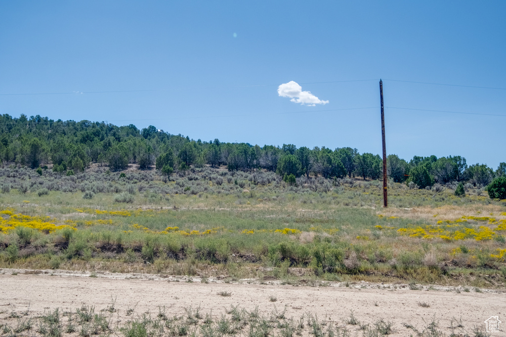 View of landscape featuring a rural view