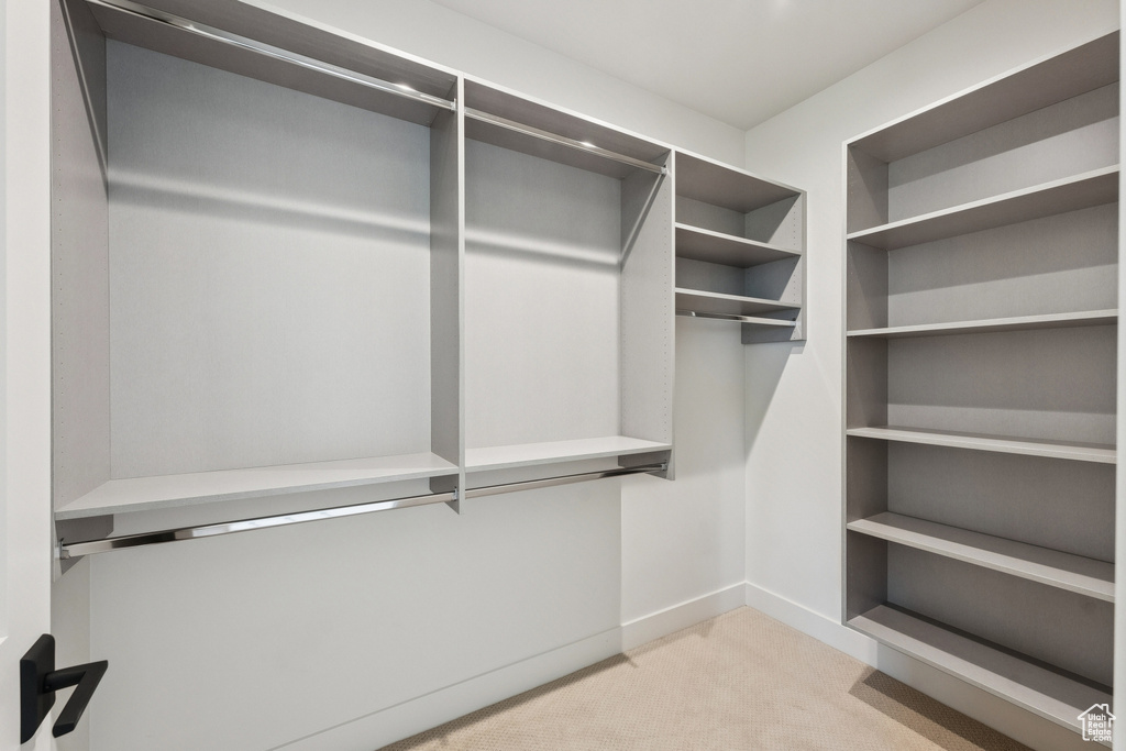 Walk in closet featuring carpet floors