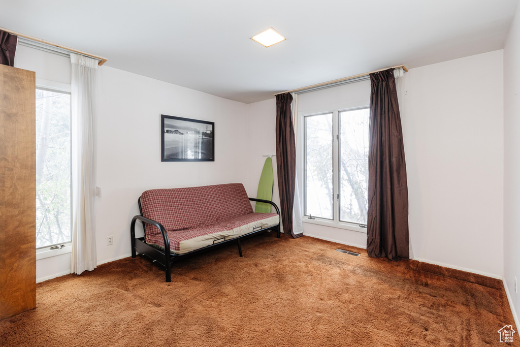 Sitting room with carpet floors