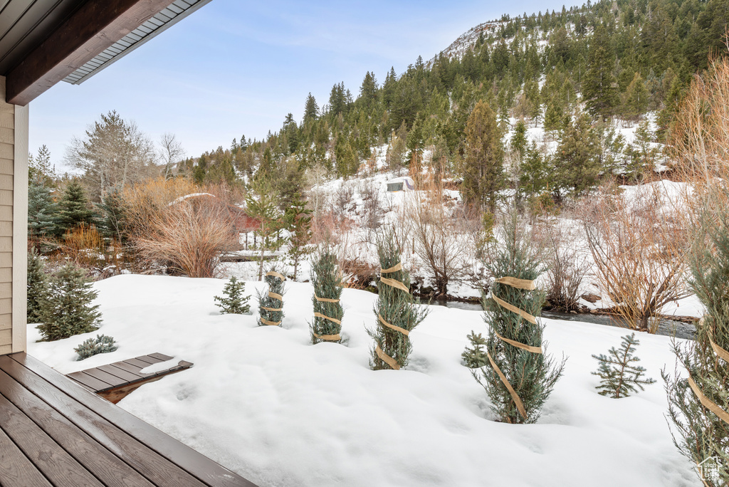 Snowy yard with a mountain view