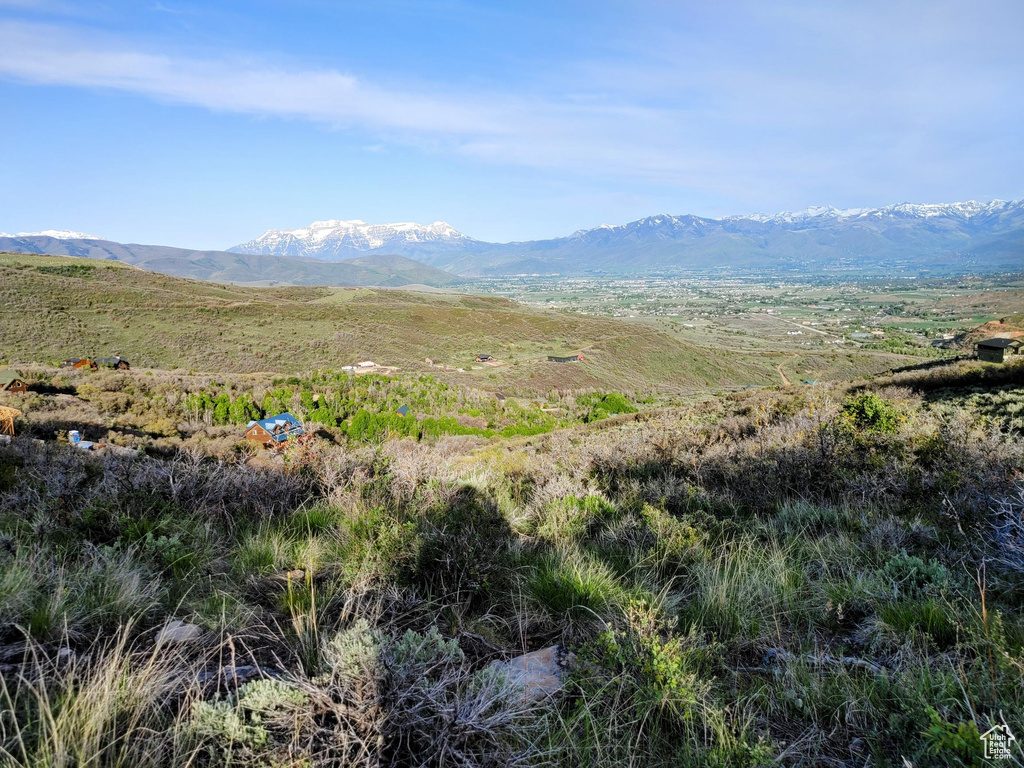 Mountain view