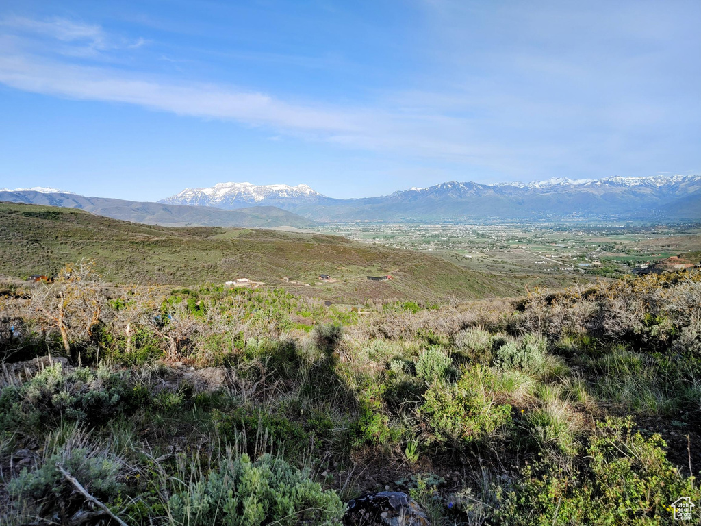 Mountain view