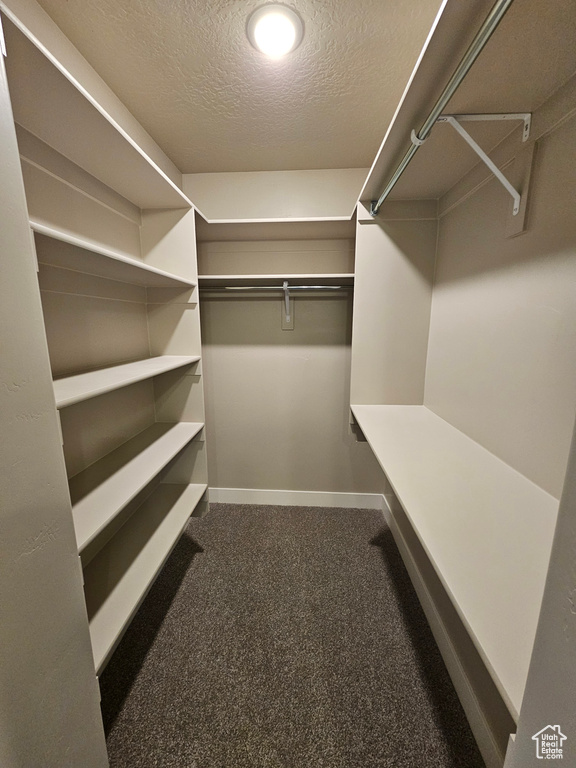 Spacious closet featuring dark colored carpet