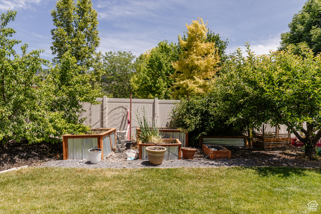 View of yard with a garden