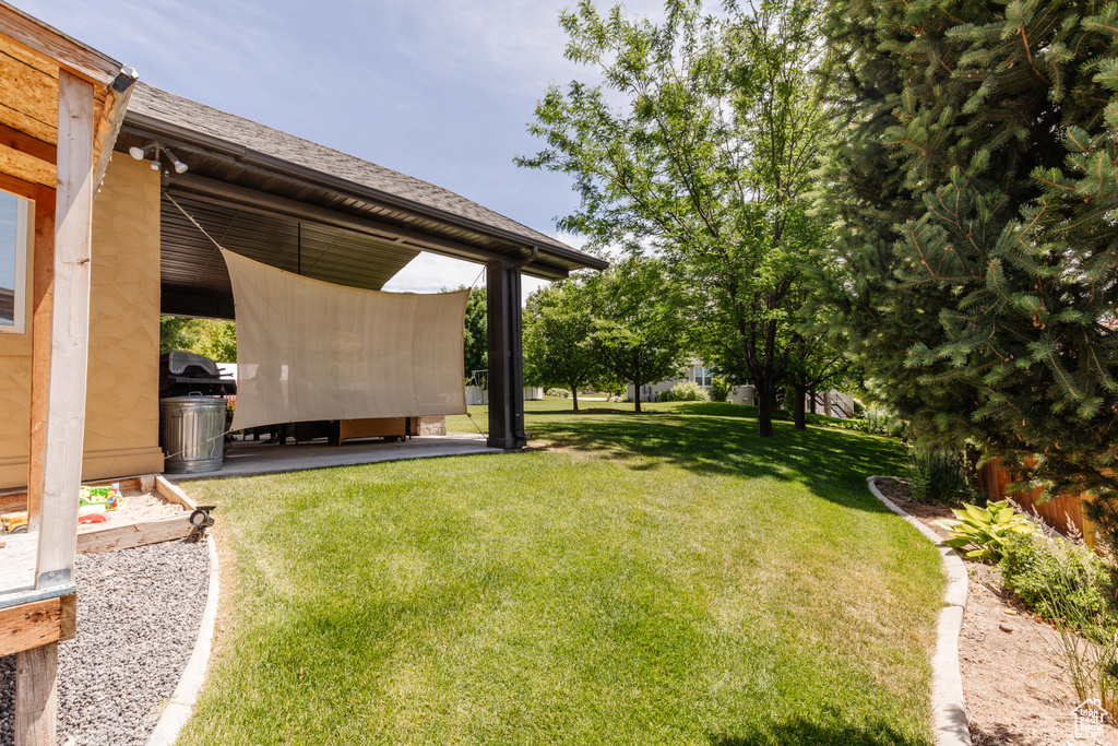 View of grassy yard