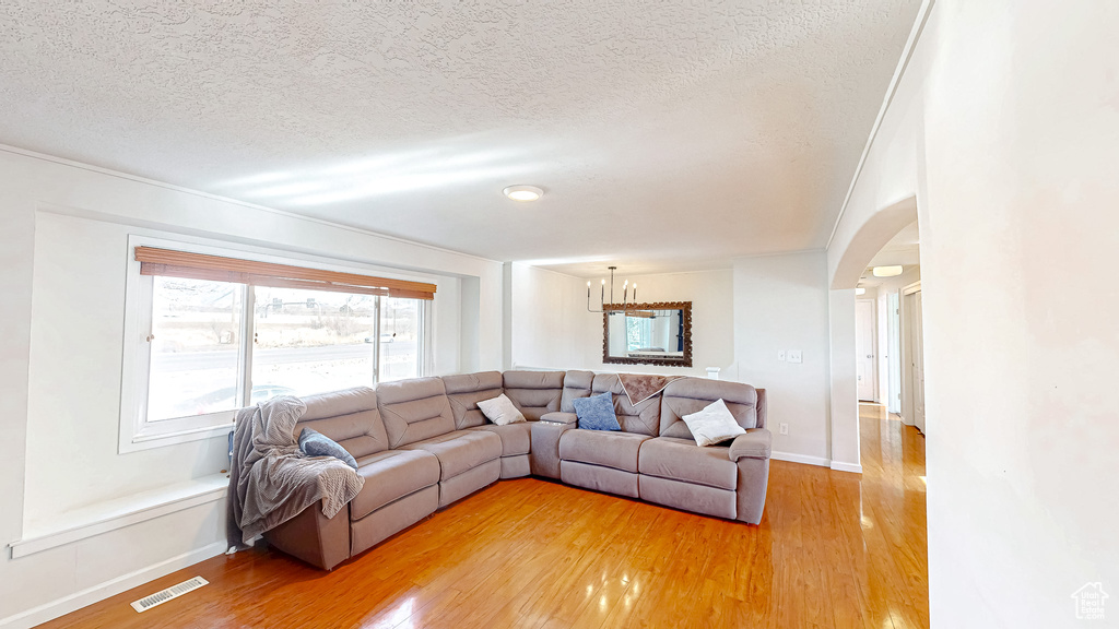 Living room with hardwood / wood-style floors and a textured ceiling