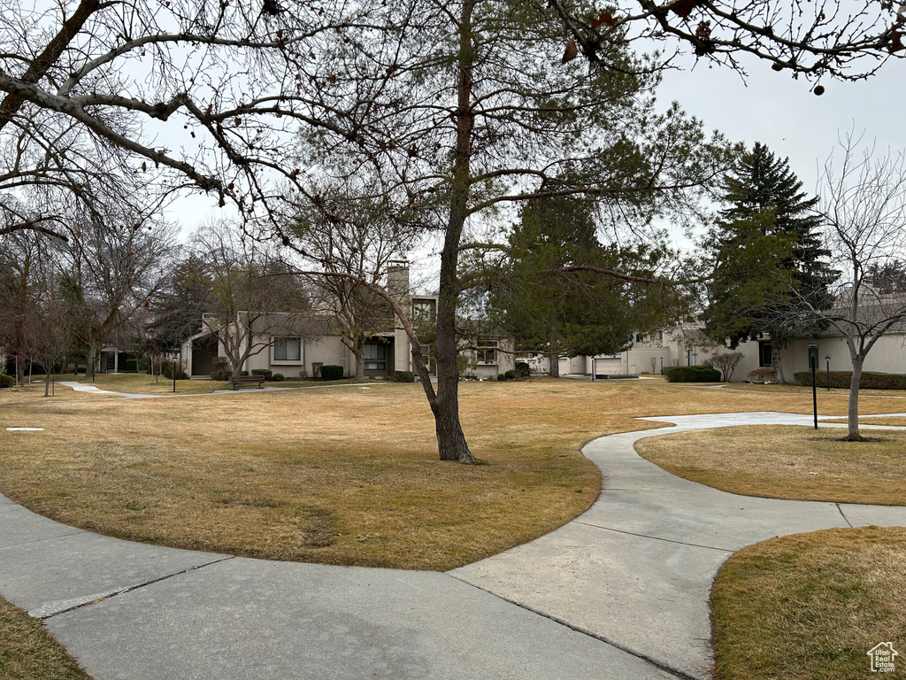 Surrounding community featuring a yard