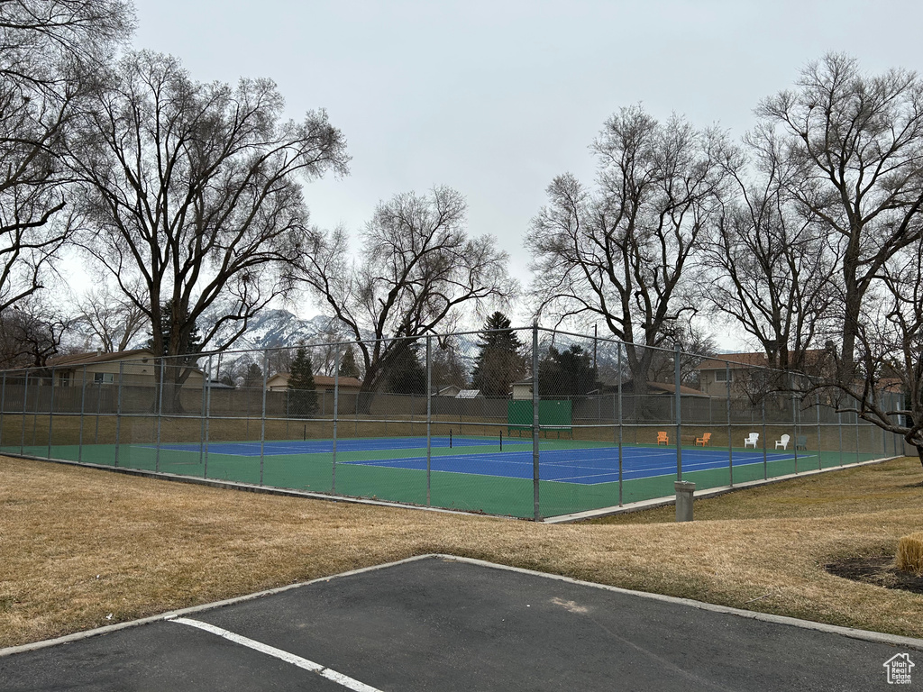 View of sport court