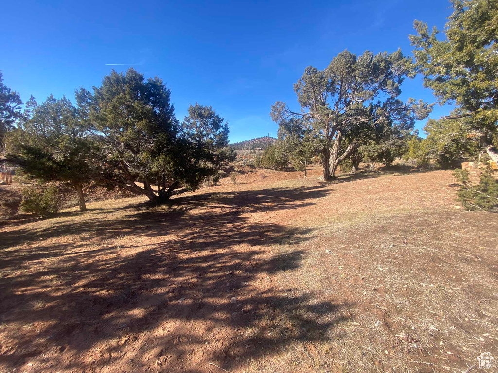 View of landscape