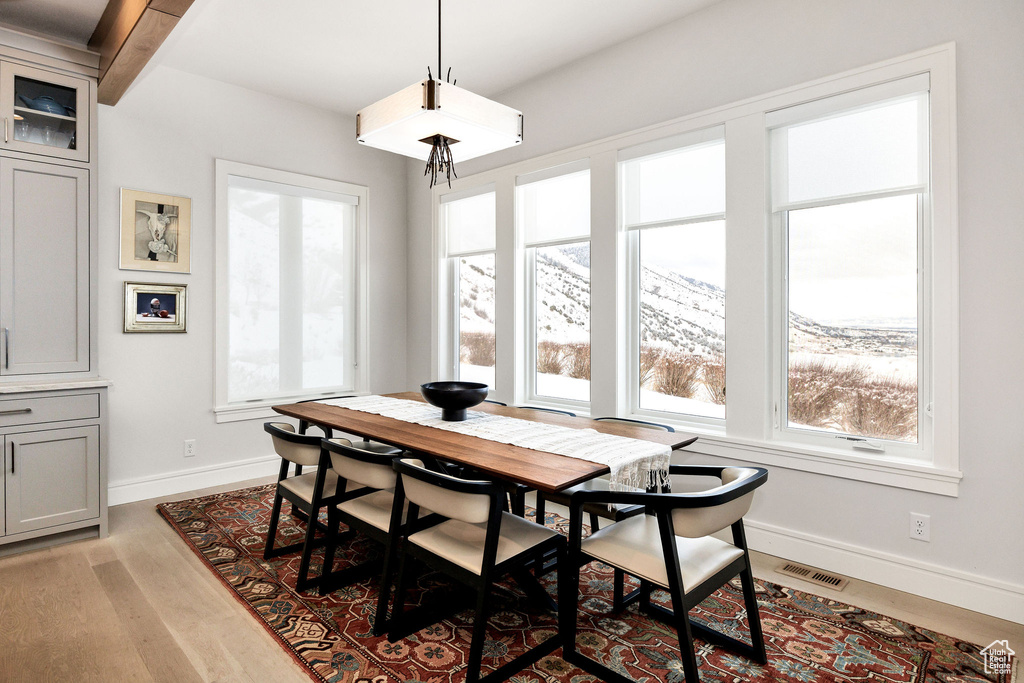 Dining area featuring light hardwood / wood-style flooring