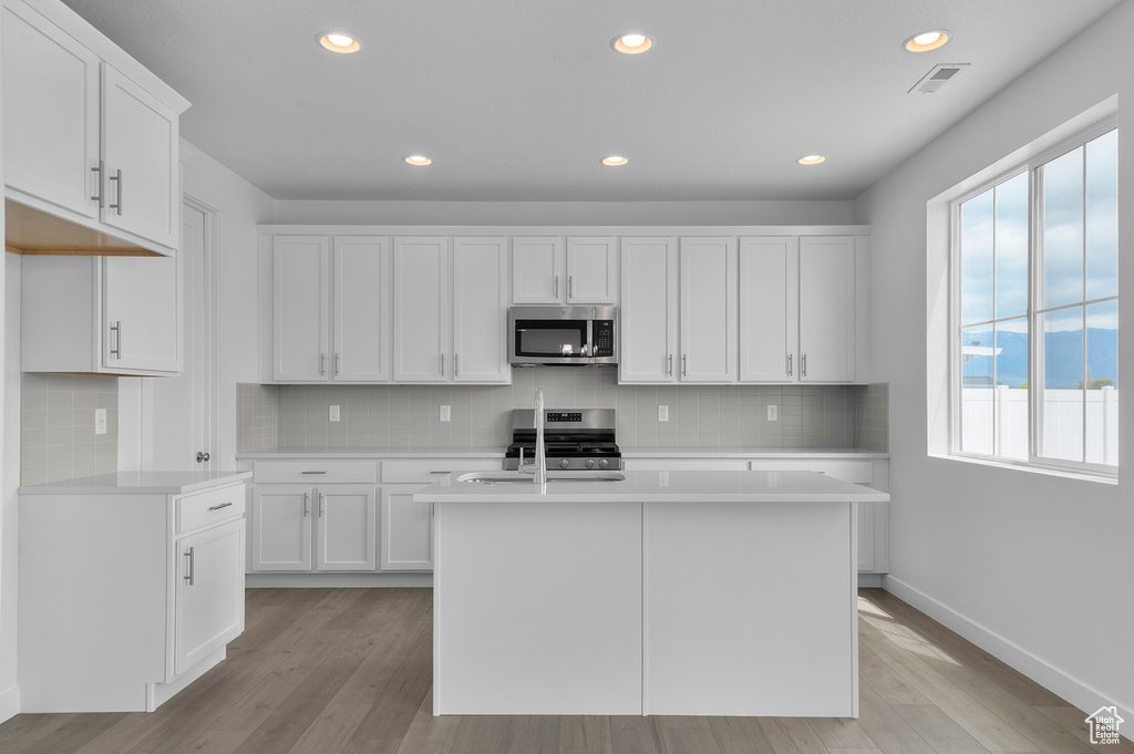 Kitchen with stainless steel appliances, plenty of natural light, light countertops, light wood finished floors, and recessed lighting