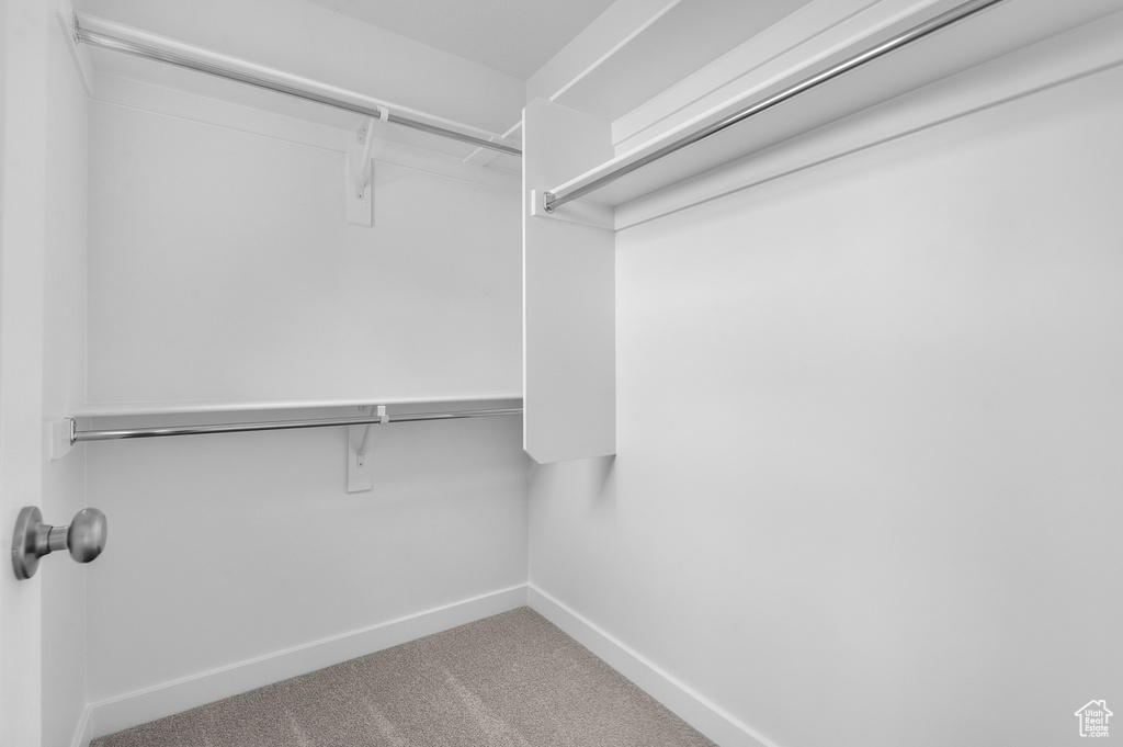 Walk in closet featuring carpet flooring