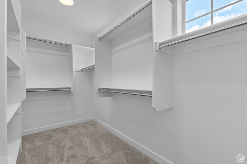 Spacious closet with carpet