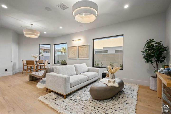 Living room featuring light hardwood / wood-style flooring