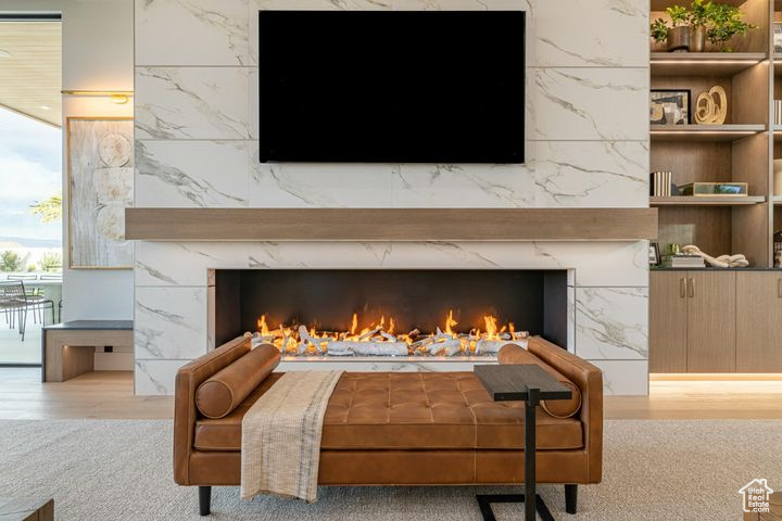 Details featuring wood-type flooring and a high end fireplace
