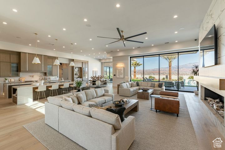 Living room featuring light hardwood / wood-style floors