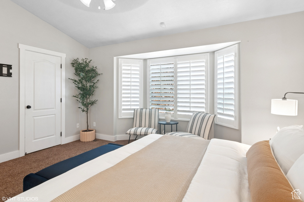 Carpeted bedroom featuring lofted ceiling, multiple windows, a ceiling fan, and baseboards