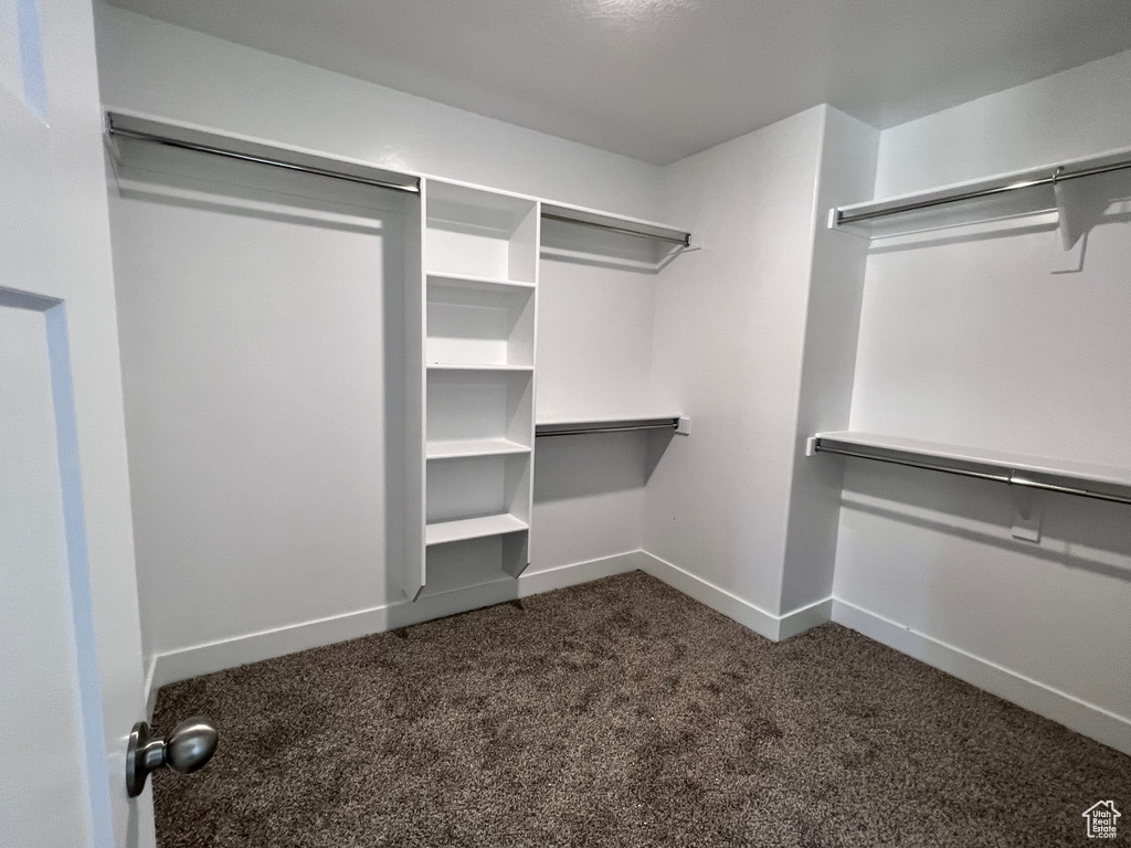 Spacious closet featuring dark carpet
