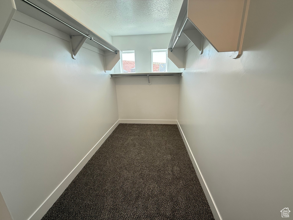 Spacious closet featuring dark colored carpet