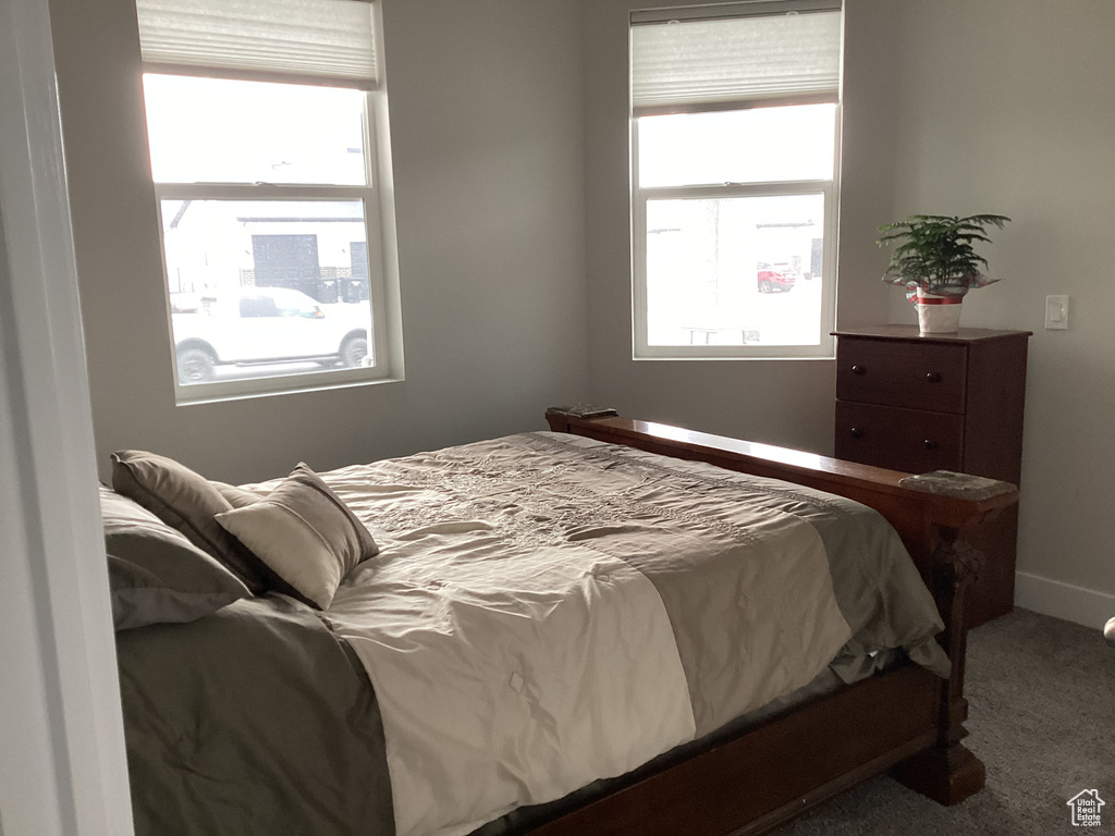 Bedroom featuring carpet flooring and multiple windows