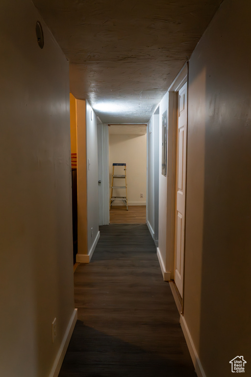 Hallway with dark hardwood / wood-style floors