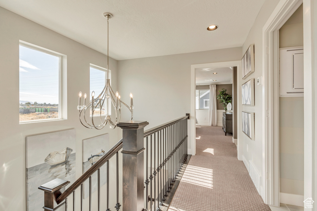 Corridor featuring light colored carpet and a healthy amount of sunlight